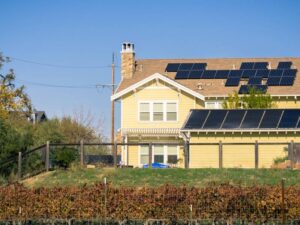 How Do Solar Panels Work?